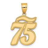 Image of 14K Yellow Gold Brushed Border Script Number 75 Pendant