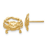 Image of 10mm 14K Yellow Gold Crab Stud Post Earrings