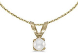 Image of 14k Yellow Gold Cultured Freshwater Pearl Pendant (Chain NOT included) (CM-P1418X-06)