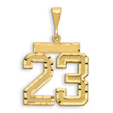Image of 14K Yellow Gold Large Shiny-Cut Number 23 Pendant