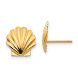 Image of 10mm 14K Yellow Gold Madi K Shell Post Earrings SE2199
