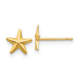 Image of 8mm 14K Yellow Gold Madi K Star Post Earrings