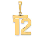 Image of 14K Yellow Gold Medium Polished Number 12 Pendant MP12