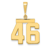 Image of 14K Yellow Gold Medium Polished Number 46 Pendant MP46