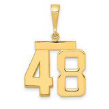Image of 14K Yellow Gold Medium Polished Number 48 Pendant MP48