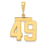Image of 14K Yellow Gold Medium Polished Number 49 Pendant MP49