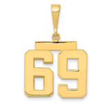 Image of 14K Yellow Gold Medium Polished Number 69 Pendant MP69