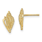 Image of 11.45mm 14K Yellow Gold Mini Conch Shell Stud Post Earrings TE800