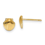 Image of 7mm 14K Yellow Gold Mini Scallop Shell Stud Post Earrings
