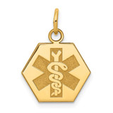 Image of 14K Yellow Gold Non-enameled Medical Jewelry Pendant XM36N