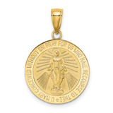 Image of 14K Yellow Gold Polished & Satin Miraculous Medal Pendant