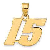 Image of 14K Yellow Gold Polished Block Number 15 Pendant