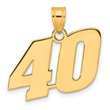 Image of 14K Yellow Gold Polished Block Number 40 Pendant