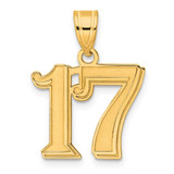 Image of 14K Yellow Gold Polished Etched Number 17 Pendant