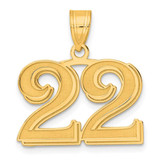 Image of 14K Yellow Gold Polished Etched Number 22 Pendant