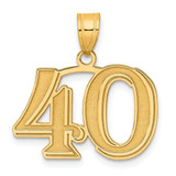 Image of 14K Yellow Gold Polished Etched Number 40 Pendant