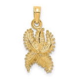 Image of 14K Yellow Gold Textured Starfish Pendant K8069