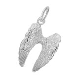 Image of Angel Wings Charm (Choose Metal) by Rembrandt