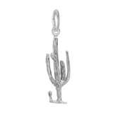 Image of Cactus Charm (Choose Metal) by Rembrandt