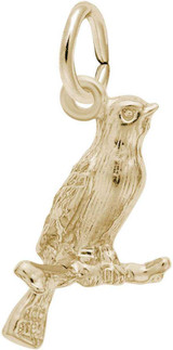 Image of Canary Charm (Choose Metal) by Rembrandt