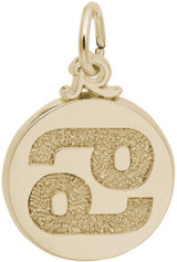 Image of Cancer Symbol Of The Sky Charm (Choose Metal) by Rembrandt