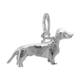Image of Dachshund Charm (Choose Metal) by Rembrandt