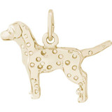 Image of Dalmatian Charm (Choose Metal) by Rembrandt