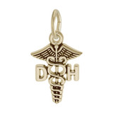 Image of Dental Hygienist Charm (Choose Metal) by Rembrandt