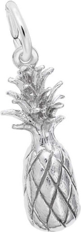 Image of Detailed Pineapple Charm (Choose Metal) by Rembrandt