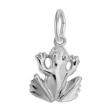 Image of Frog Charm (Choose Metal) by Rembrandt