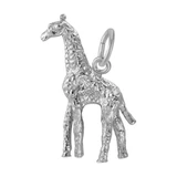 Image of Giraffe Charm (Choose Metal) by Rembrandt