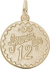Image of Grown Up Twelve Charm (Choose Metal) by Rembrandt