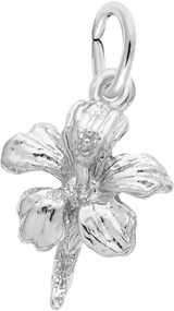 Image of Hibiscus Charm (Choose Metal) by Rembrandt