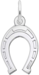Image of Horseshoe Charm (Choose Metal) by Rembrandt