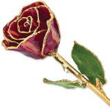 Image of Lacquer Dipped Gold-Tone Trim Abracadabra Rose