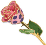 Image of Lacquer Dipped Gold-Tone Trim Pink & Purple Dots Rose