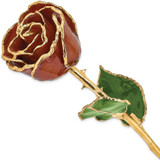 Image of Lacquer Dipped Gold-Tone Trim Root Beer Rose