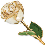 Image of Lacquer Dipped Gold-Tone Trim White Satin Rose