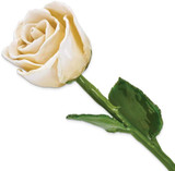 Image of Lacquer Dipped Natural Cream/White Rose w/Green Leaves & Stem