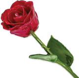 Image of Lacquer Dipped Natural Red Rose w/Green Leaves & Stem