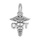 Image of Occupational Therapist Caduceus Charm (Choose Metal) by Rembrandt