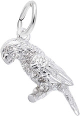 Image of Parrot Charm (Choose Metal) by Rembrandt