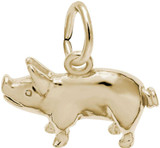 Image of Pig Charm (Choose Metal) by Rembrandt
