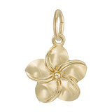 Image of Plumeria Flower Charm (Choose Metal) by Rembrandt