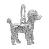 Image of Poodle Charm (Choose Metal) by Rembrandt