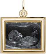 Image of Rembrandt Small Horizontal Rectangle PhotoArt Charm (Choose Metal) FLFCBL4BC10