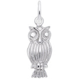 Image of Screech Owl Charm (Choose Metal) by Rembrandt