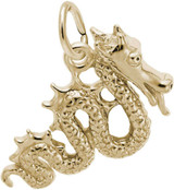 Image of Serpent Dragon Charm (Choose Metal) by Rembrandt