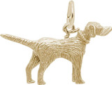 Image of Setter Dog Charm (Choose Metal) by Rembrandt