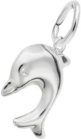 Image of Small Dolphin Charm (Choose Metal) by Rembrandt